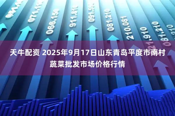 天牛配资 2025年9月17日山东青岛平度市南村蔬菜批发市场价格行情