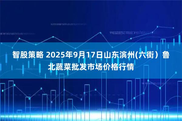 智股策略 2025年9月17日山东滨州(六街)鲁北蔬菜批发市场价格行情
