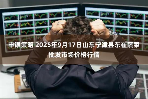 申银策略 2025年9月17日山东宁津县东崔蔬菜批发市场价格行情