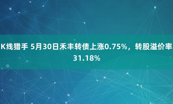 K线猎手 5月30日禾丰转债上涨0.75%,转股溢价率31.18%